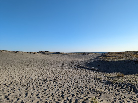 PXL_20231023_064738705