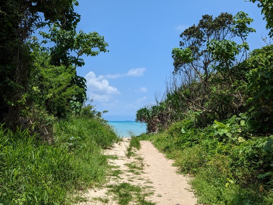 PXL_20230510_040021318.PORTRAIT.ORIGINAL