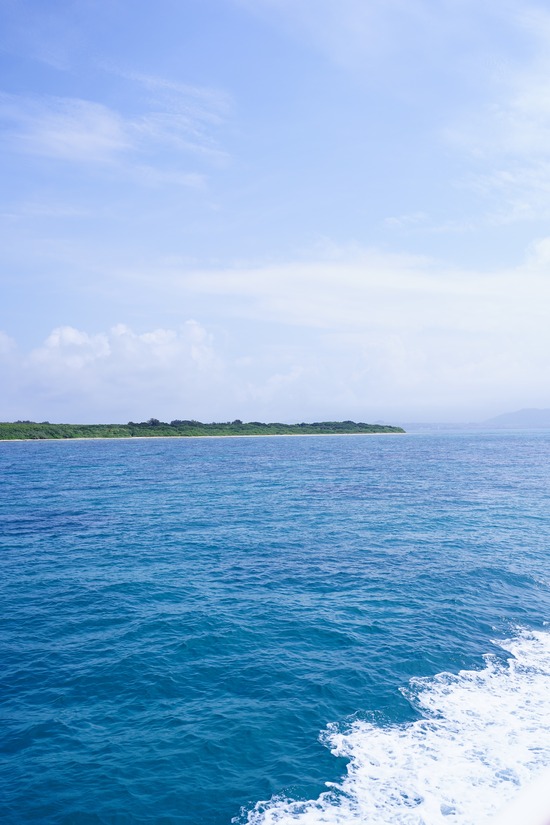 DSC05050