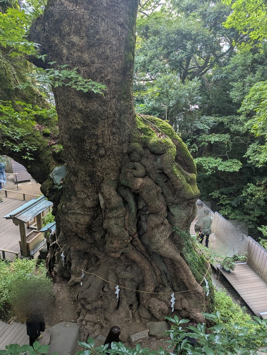 PXL_20251004_023122854~2