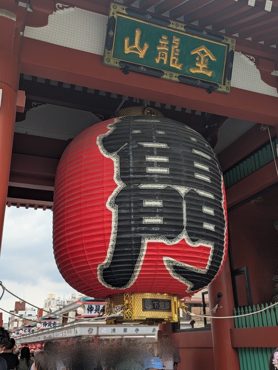 PXL_20250613_044248007.PORTRAIT