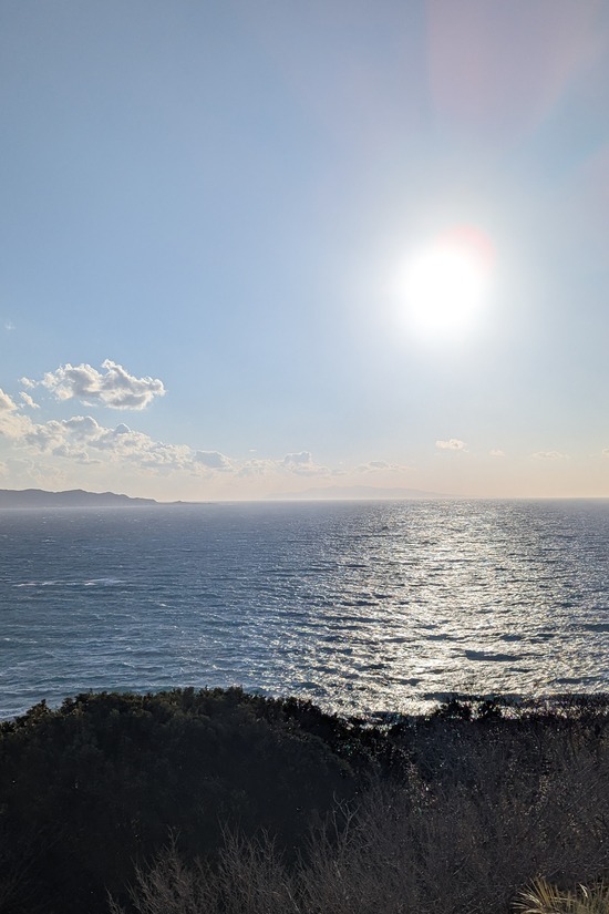 PXL_20260113_063911131.PORTRAIT.ORIGINAL