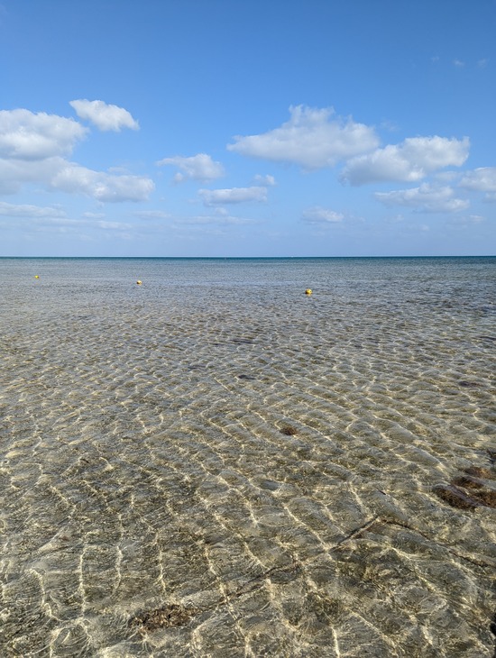 PXL_20230509_080059188.MP