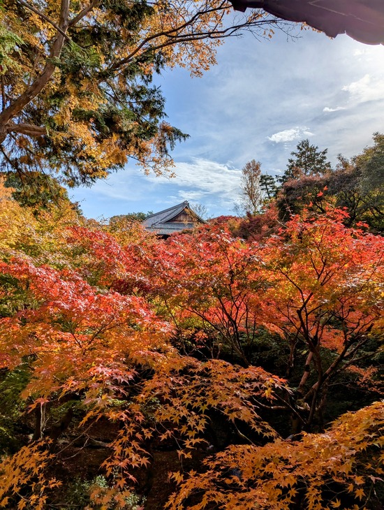 PXL_20241127_005959681.MP~3