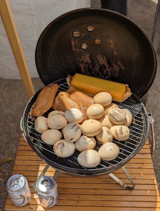 PXL_20230423_023547632.PORTRAIT