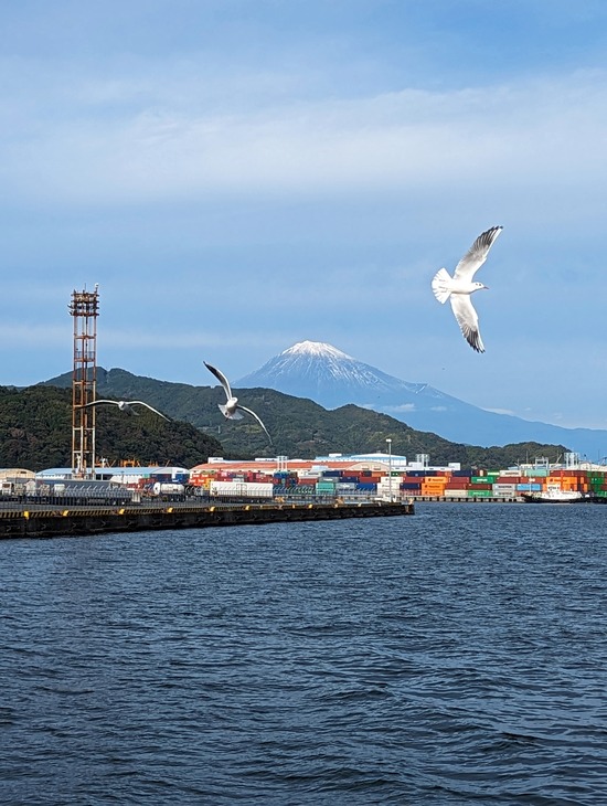 PXL_20231116_052308367.PORTRAIT.ORIGINAL