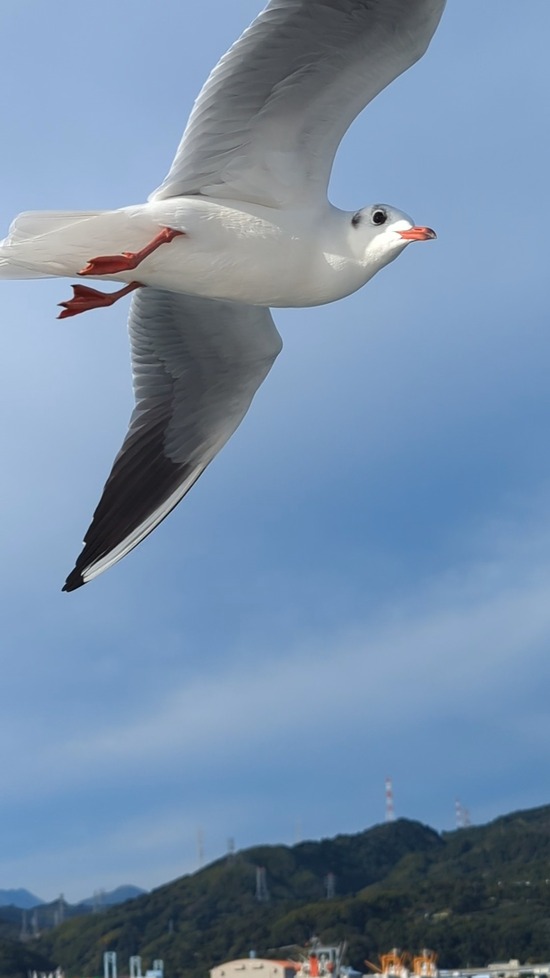 PXL_20231116_051802463.TS_exported_8236