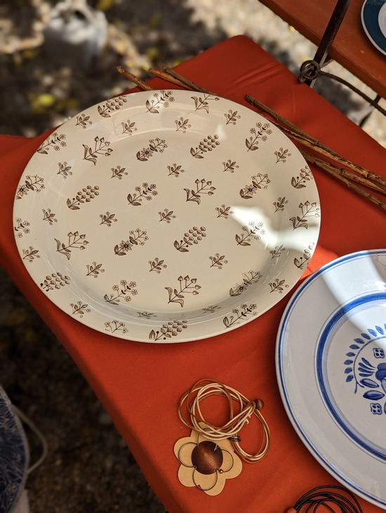 PXL_20230423_022224572.PORTRAIT