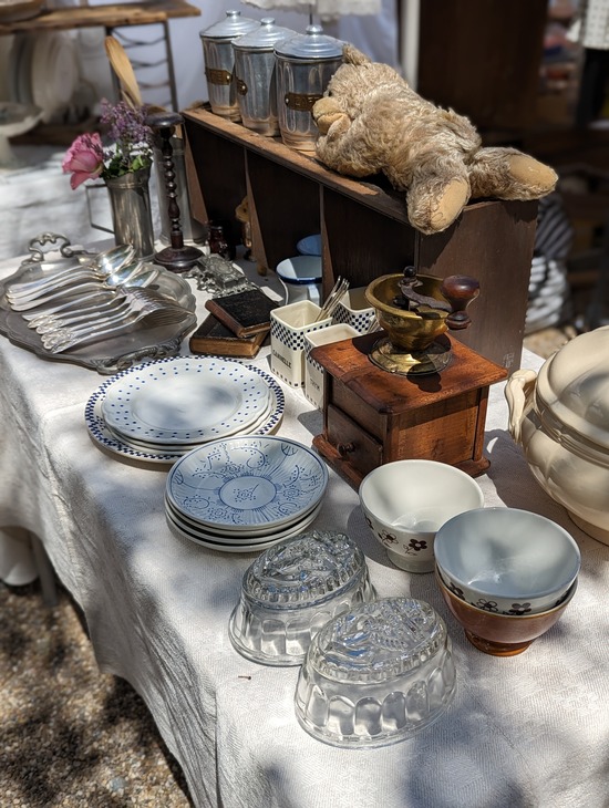 PXL_20230423_012211756.PORTRAIT