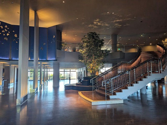 PXL_20260113_232846611