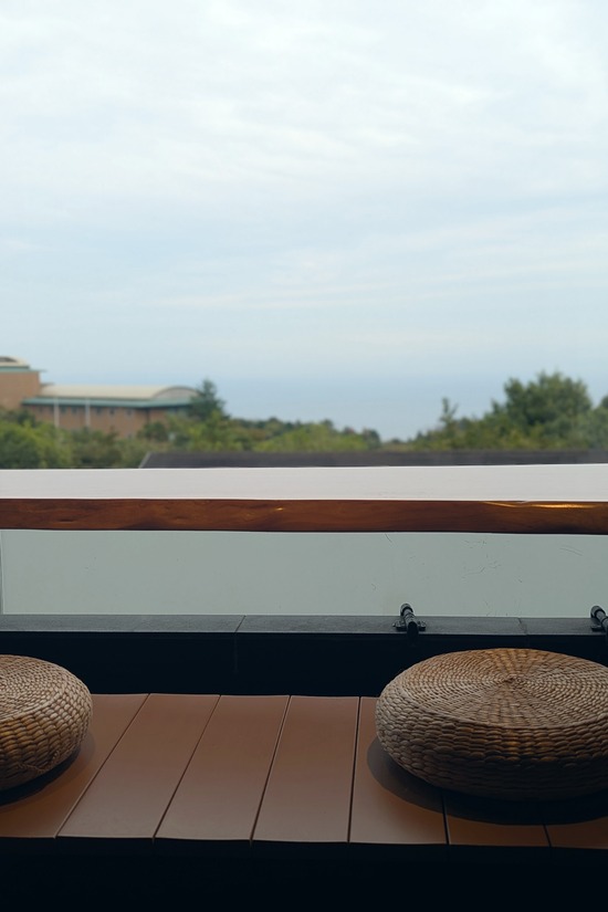 PXL_20251003_070639445.PORTRAIT