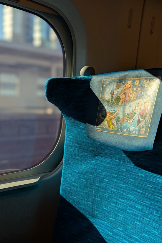 PXL_20250223_233716601.PORTRAIT