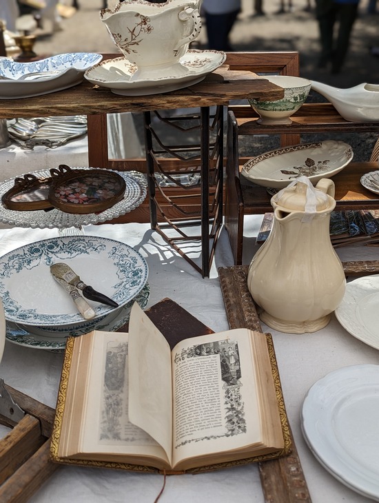 PXL_20230423_012543722.PORTRAIT