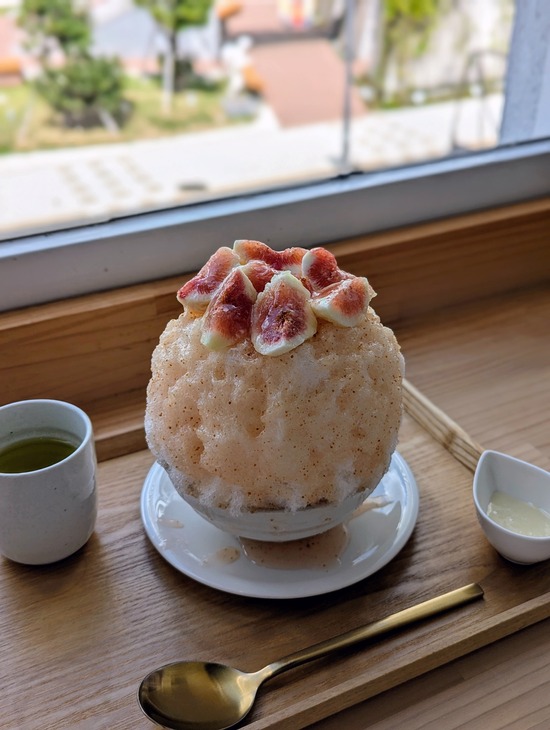 PXL_20240913_032151452.PORTRAIT~2