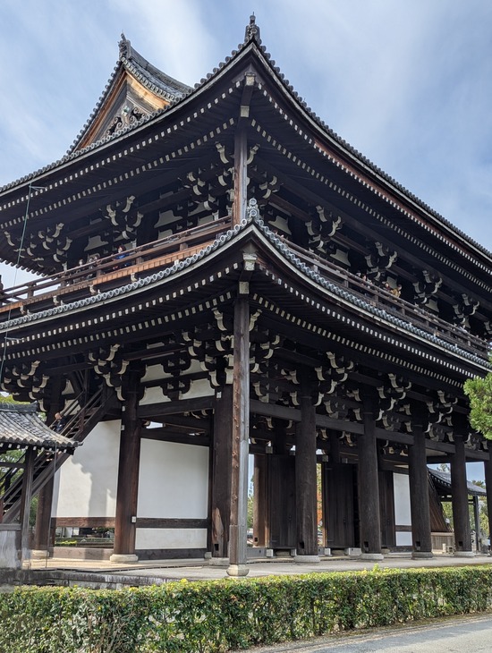 PXL_20241127_012158596.PORTRAIT.ORIGINAL~2