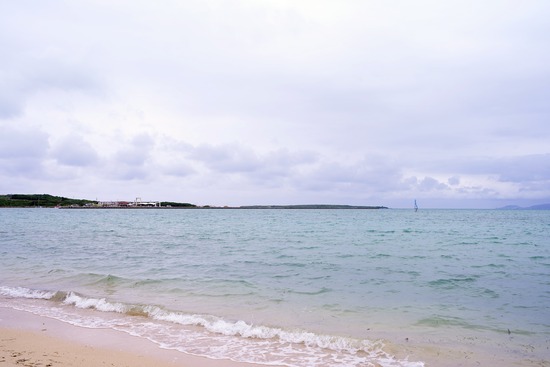 DSC01549