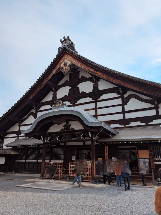 PXL_20241127_010451773~3