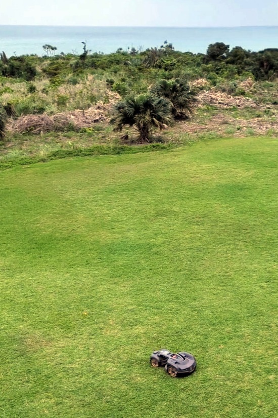 PXL_20230508_210714342_exported_6115