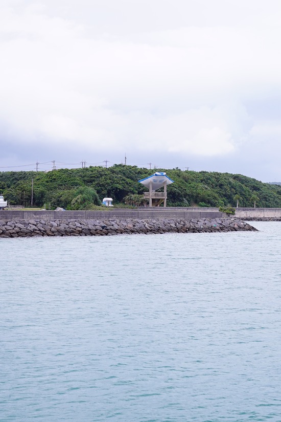DSC05087