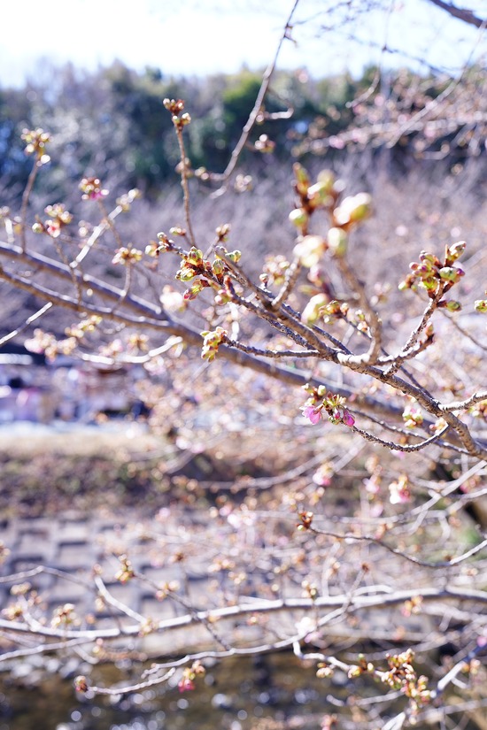 DSC08066