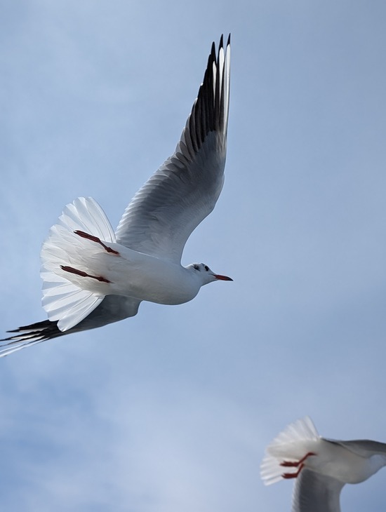 PXL_20231116_051541866.PORTRAIT