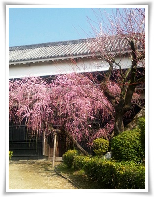 高知城1