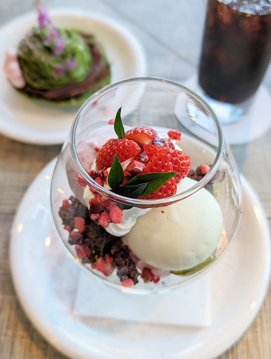 PXL_20230422_060113361.PORTRAIT