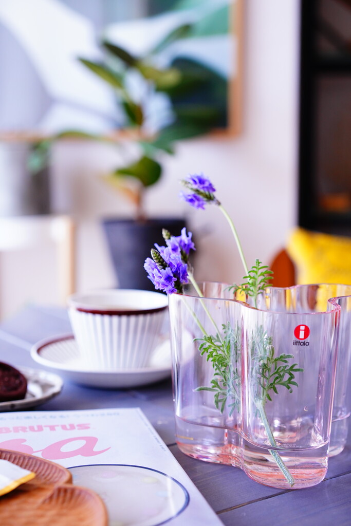 イッタラ アアルト ベース サーモンピンク scope 95mm iittala