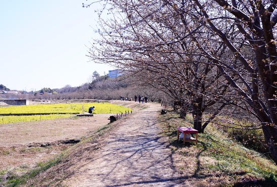 DSC08063