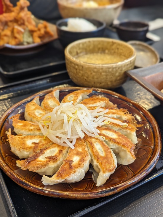 PXL_20240208_032351483.PORTRAIT