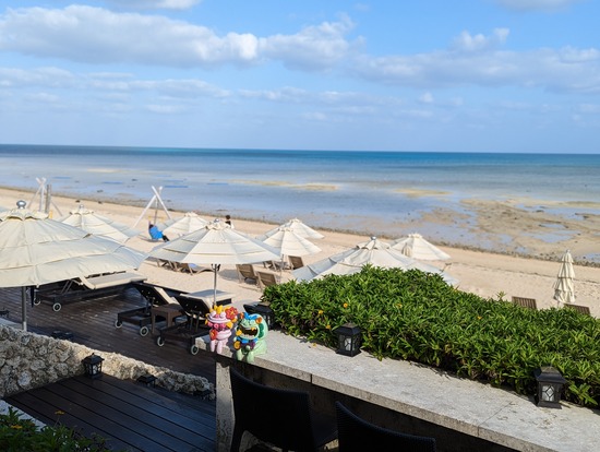 PXL_20230509_081251880.PORTRAIT