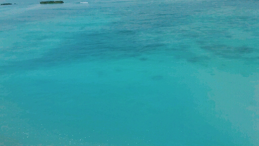 10 1