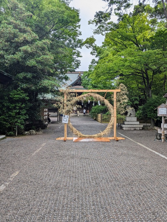 PXL_20240630_030138749.PORTRAIT.ORIGINAL~2