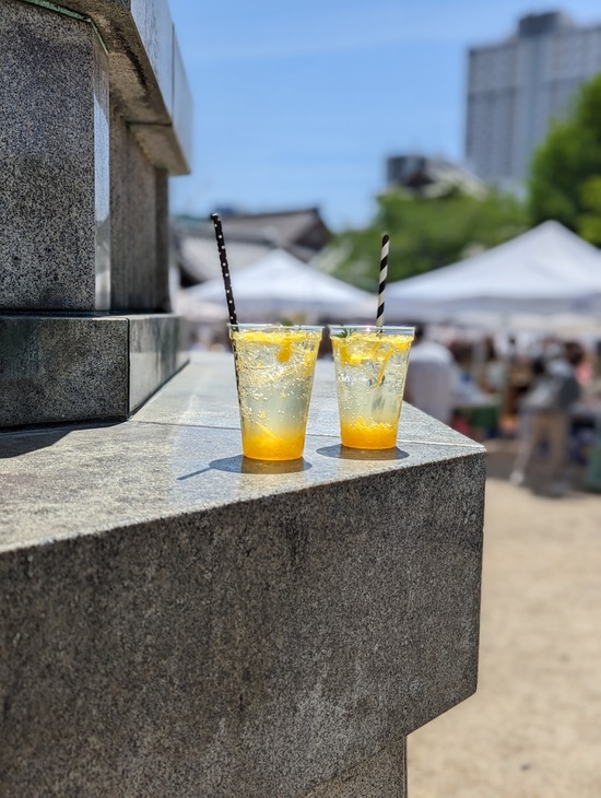 PXL_20230423_023923969.PORTRAIT