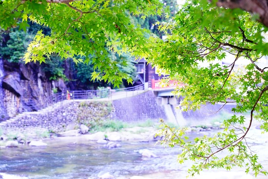 DSC09195