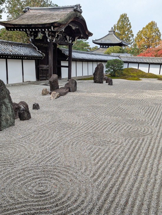 PXL_20241127_010723335.PORTRAIT.ORIGINAL (1)