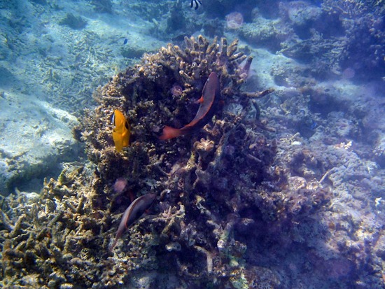 P5130567