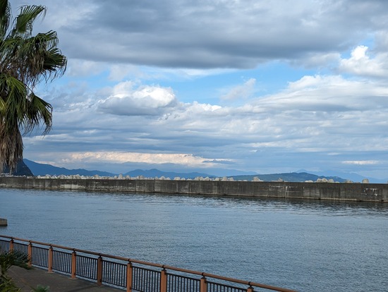 PXL_20231011_052645801