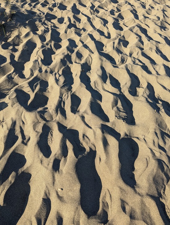 PXL_20231023_070545302