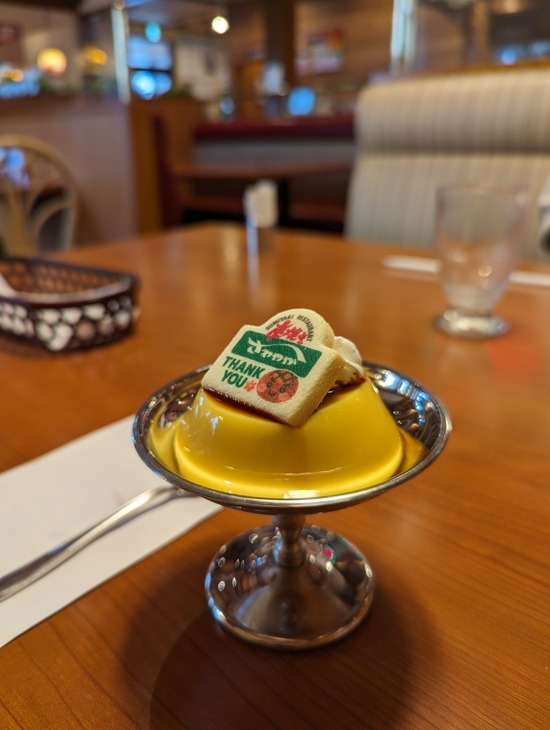 PXL_20231003_064957330