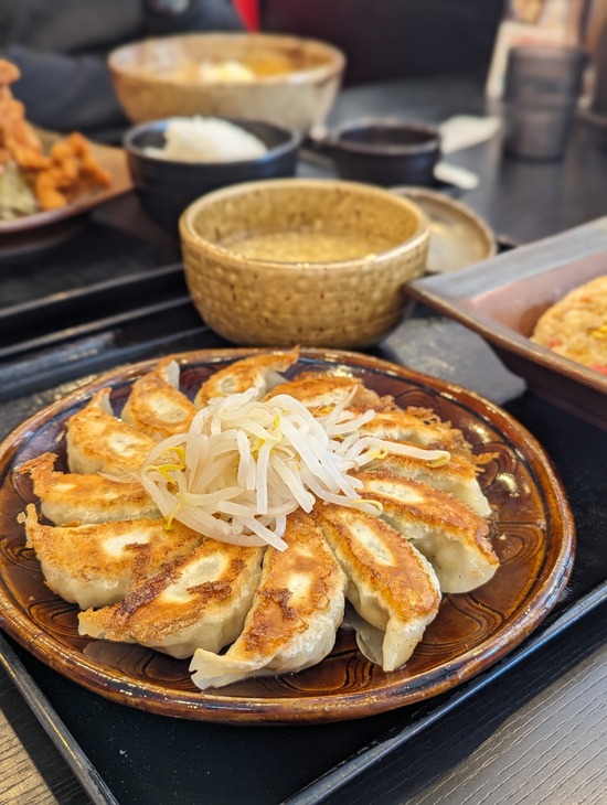 PXL_20240208_032358776.PORTRAIT