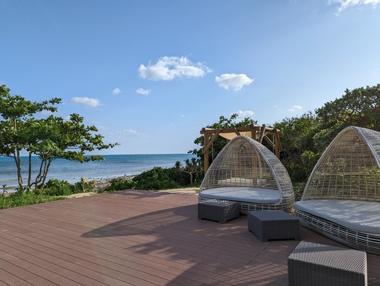 PXL_20230509_081445741