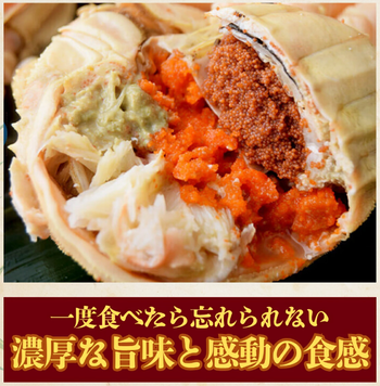 スクリーンショット 2025-11-29 064917