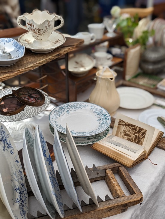 PXL_20230423_011808856.PORTRAIT