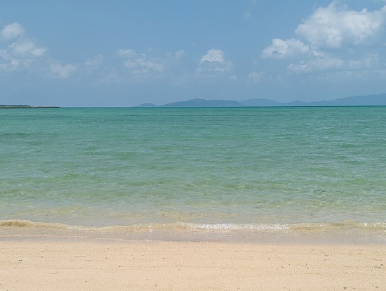 PXL_20230510_035201140.PORTRAIT.ORIGINAL