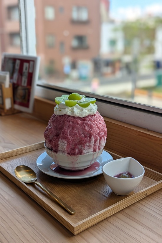 PXL_20240913_031751837.PORTRAIT