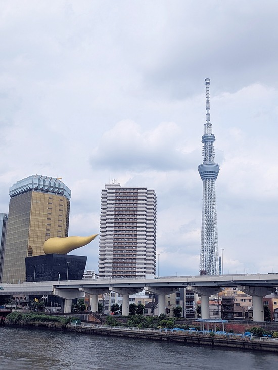 PXL_20250613_043446133.PORTRAIT