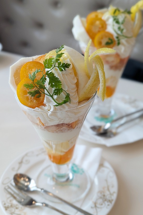 PXL_20260205_025718705.PORTRAIT