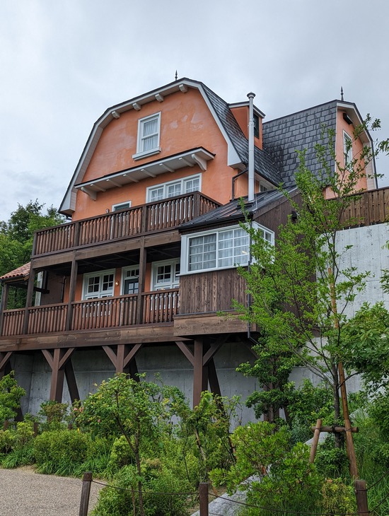 PXL_20230612_051200055.PORTRAIT.ORIGINAL