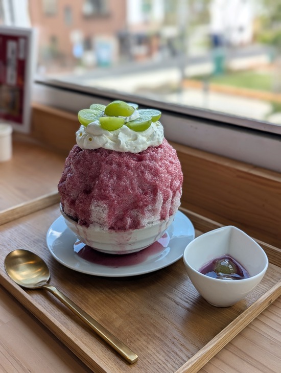 PXL_20240913_031727416.PORTRAIT